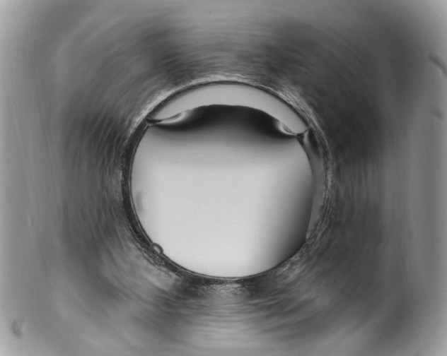 X0000099580108200806131327