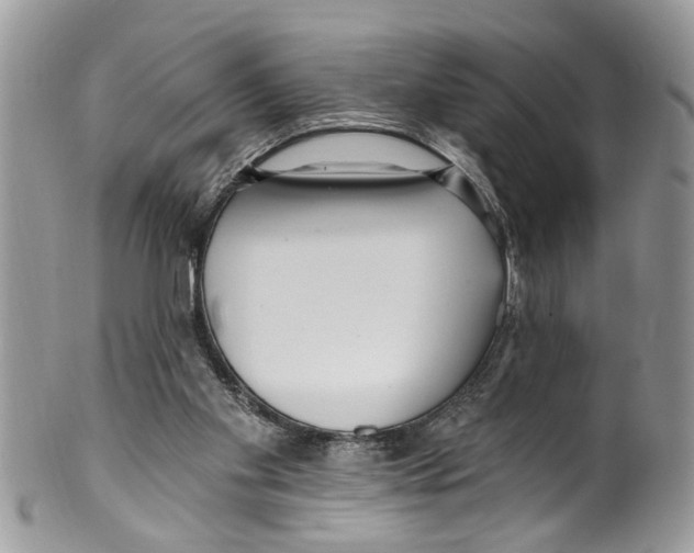 X0000099580109200806131327