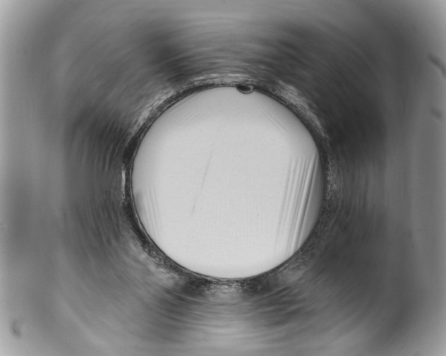 X0000099580110200806131327