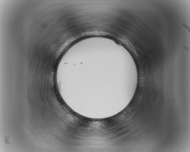 X0000099580111200806131327