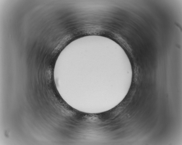 X0000099580113200806131327