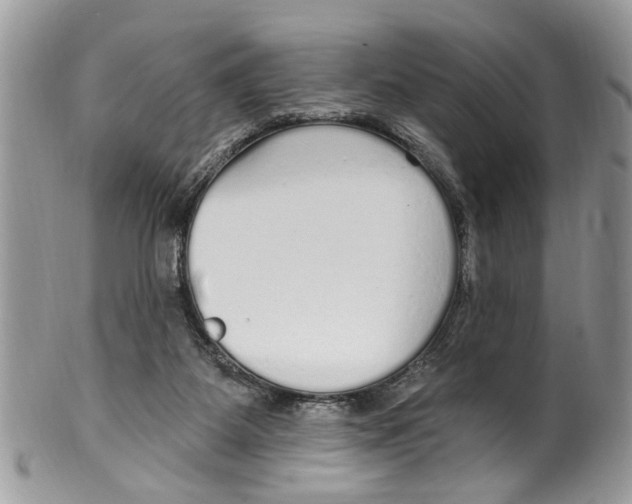 X0000099580115200806131327