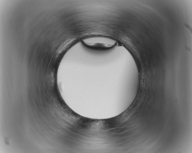 X0000099580116200806131327