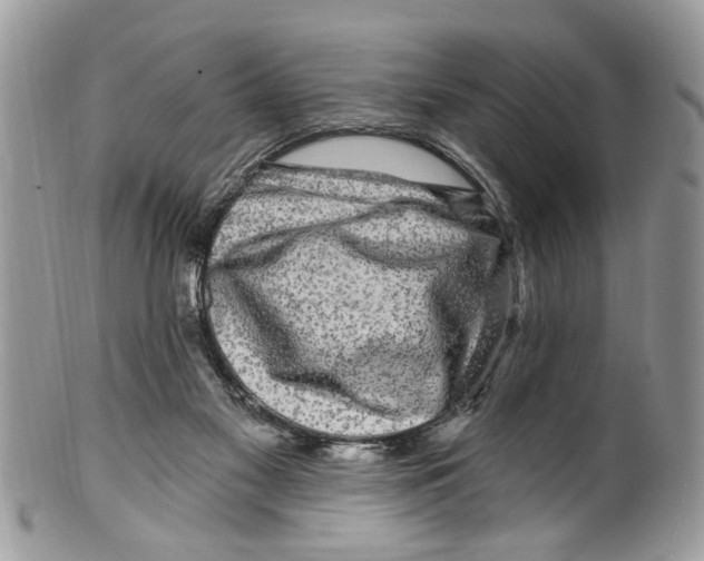 X0000099580117200806131327