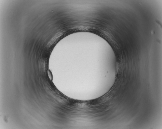 X0000099580120200806131327