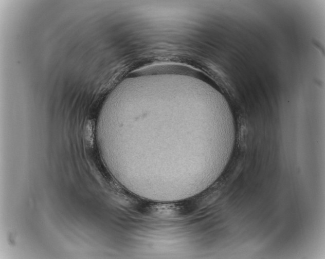 X0000099580121200806131327