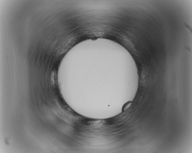 X0000099580122200806131327