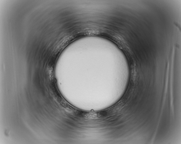 X0000099580123200806131327