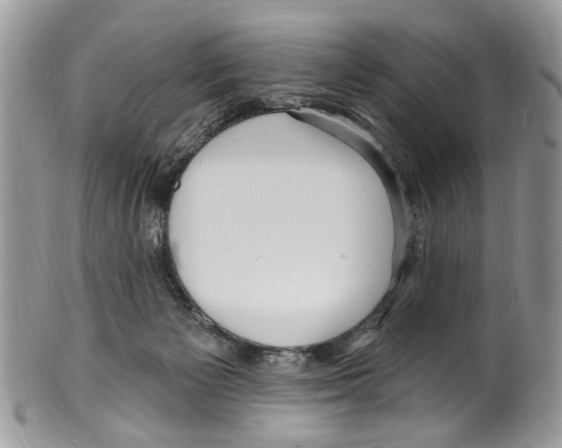 X0000099580125200806131327