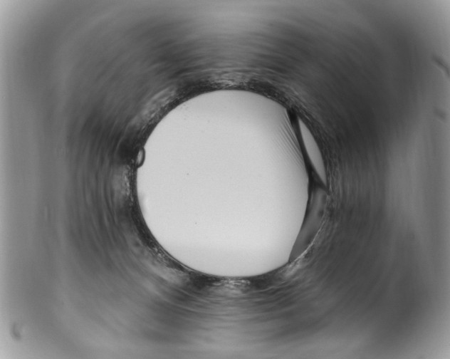 X0000099580128200806131327