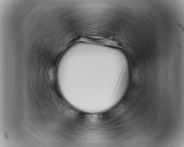 X0000099580131200806131327