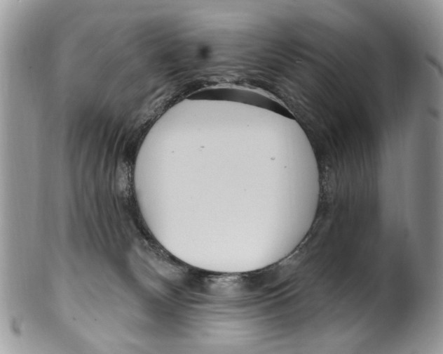 X0000099580132200806131326