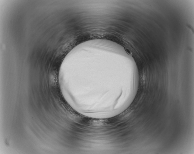 X0000099580134200806131326