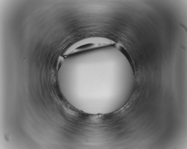 X0000099580136200806131326