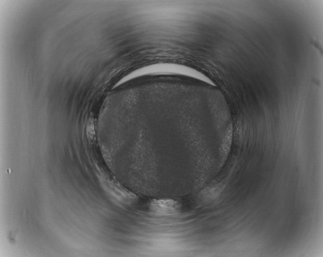 X0000099580137200806131326