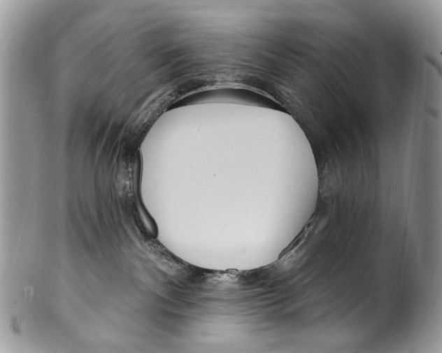 X0000099580140200806131326