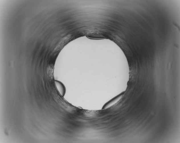 X0000099580142200806131326