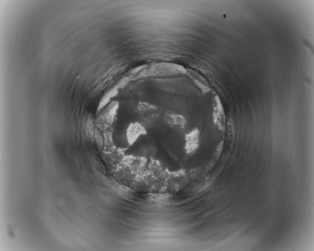 X0000099580143200806131326