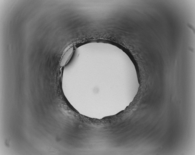 X0000099580144200806131326