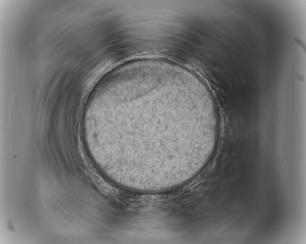 X0000099580145200806131326