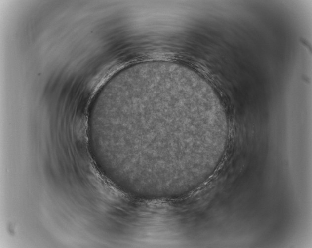 X0000099580146200806131326