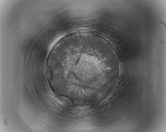 X0000099580147200806131326