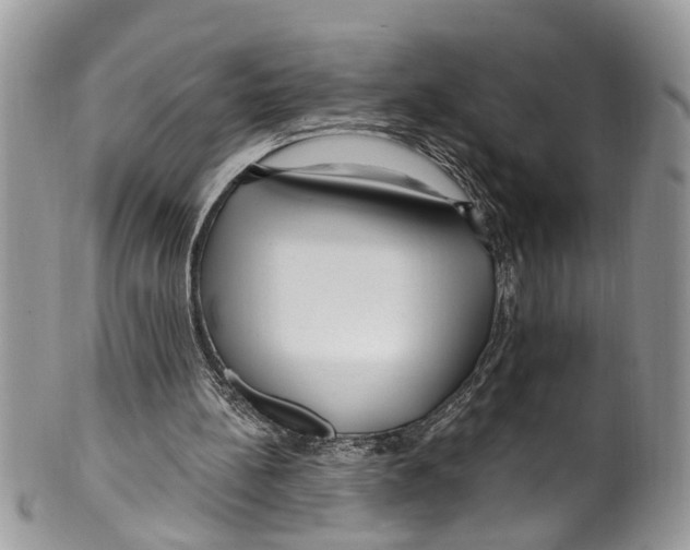 X0000099580148200806131326