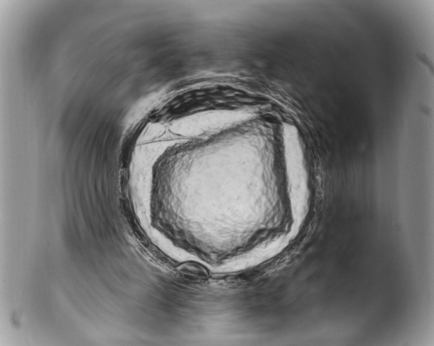 X0000099580149200806131326