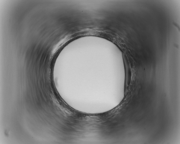 X0000099580150200806131326