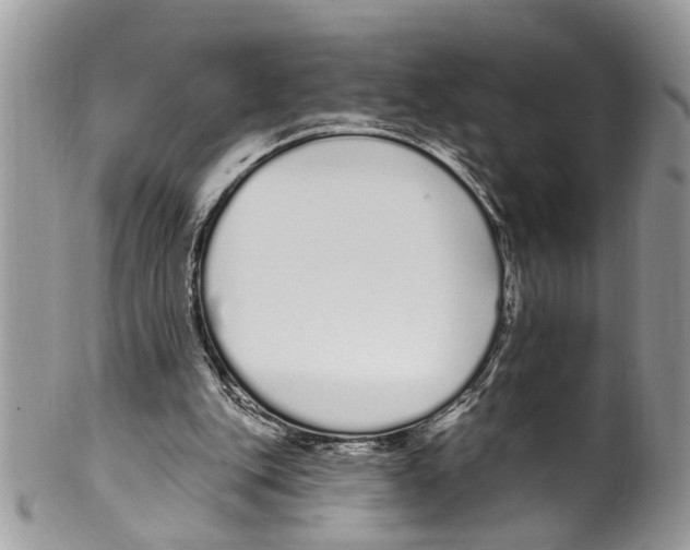 X0000099580151200806131326