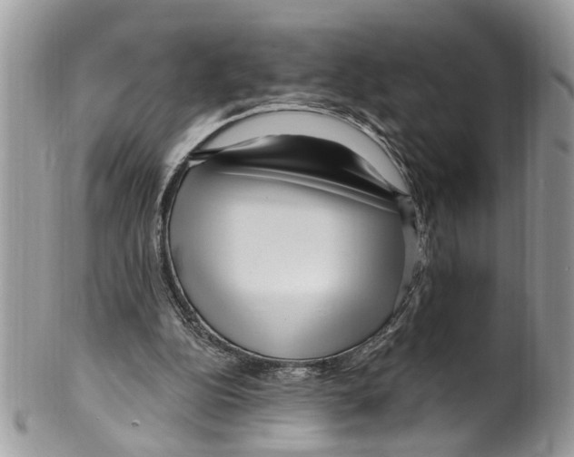 X0000099580152200806131326