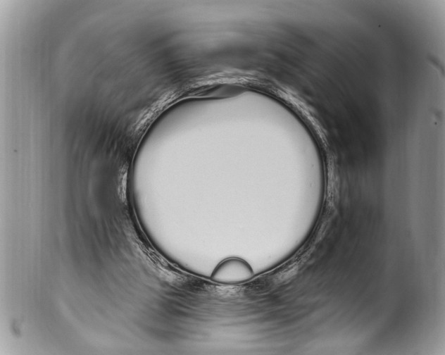 X0000099580153200806131326