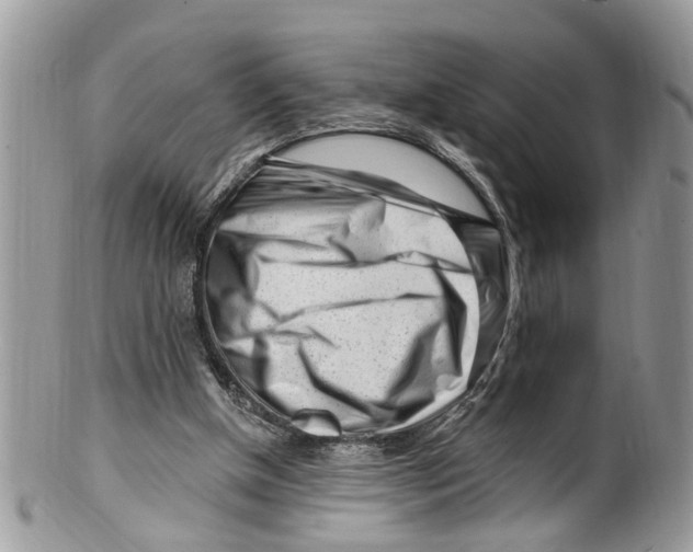 X0000099580154200806131326