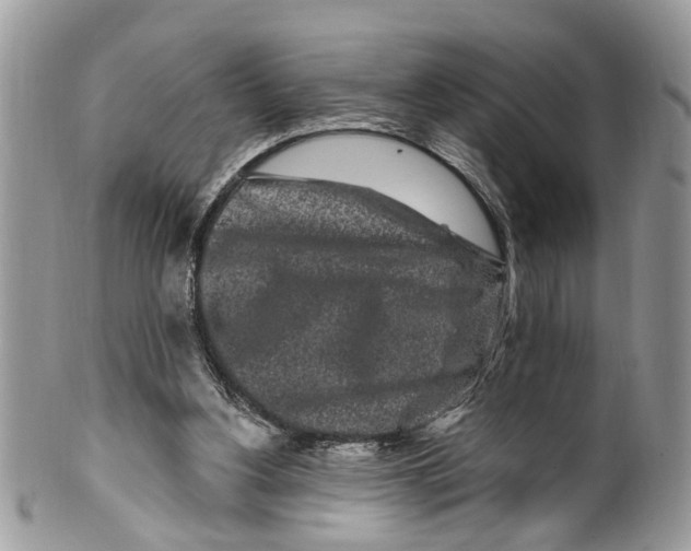 X0000099580156200806131326