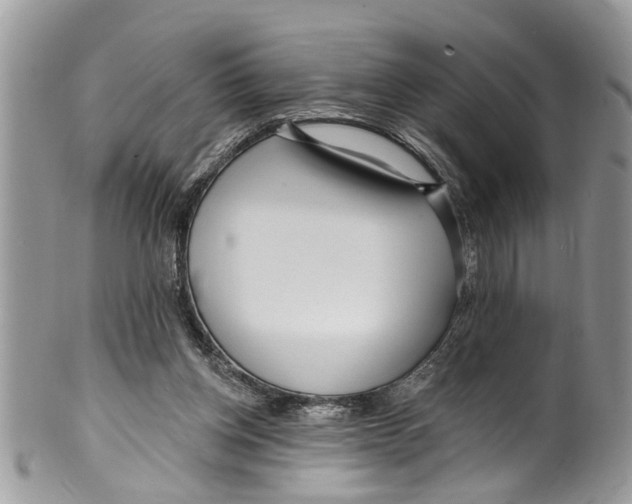 X0000099580158200806131326