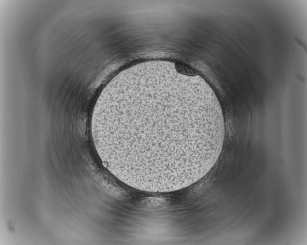 X0000099580159200806131326