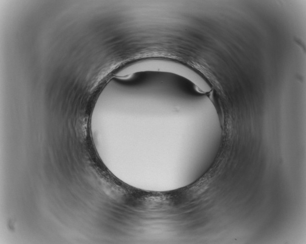 X0000099580160200806131326