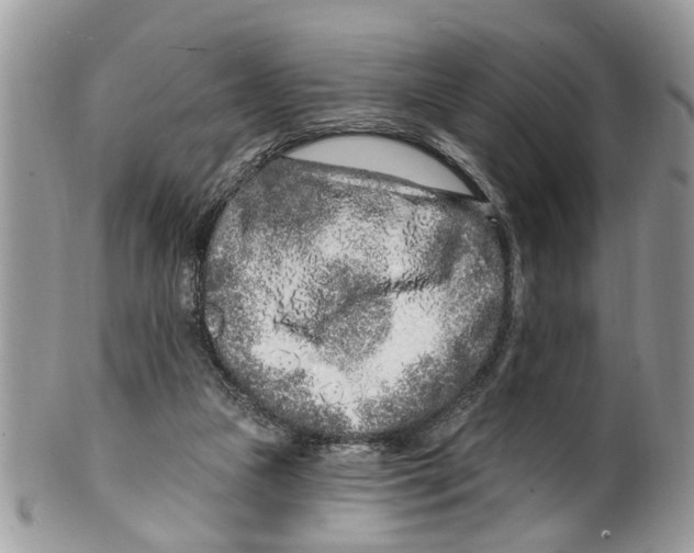 X0000099580161200806131326