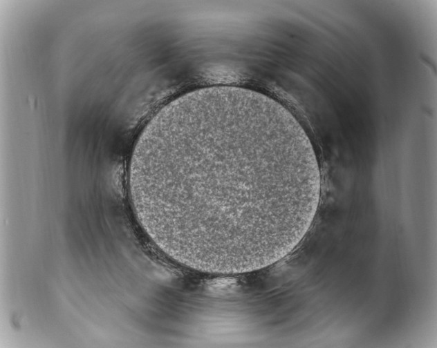 X0000099580162200806131326