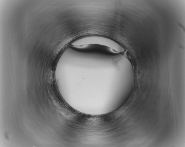 X0000099580164200806131326