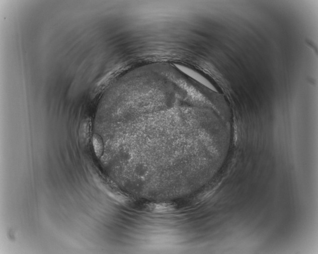 X0000099580165200806131326