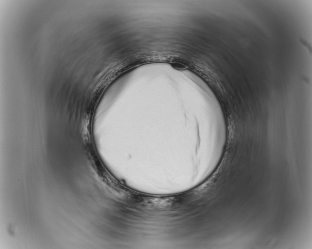 X0000099580166200806131326