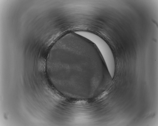 X0000099580168200806131326