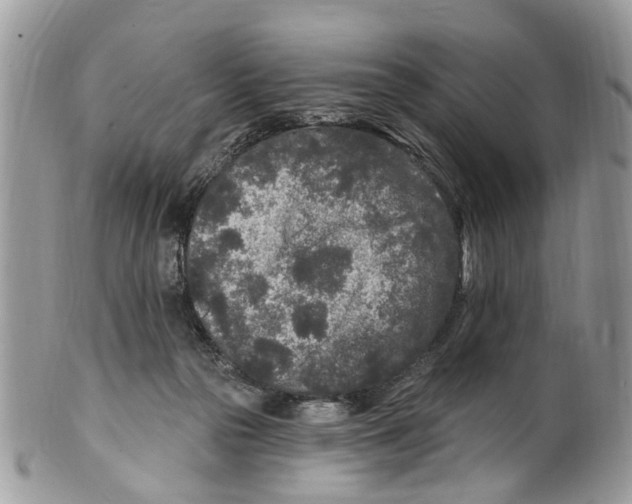 X0000099580169200806131326