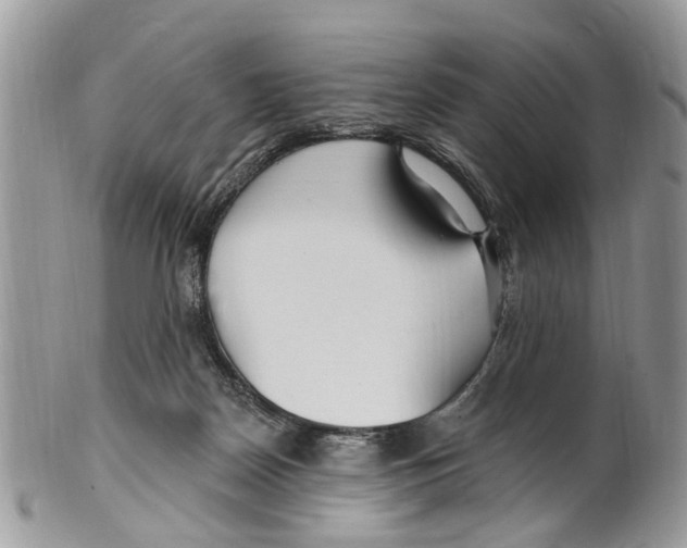 X0000099580170200806131326