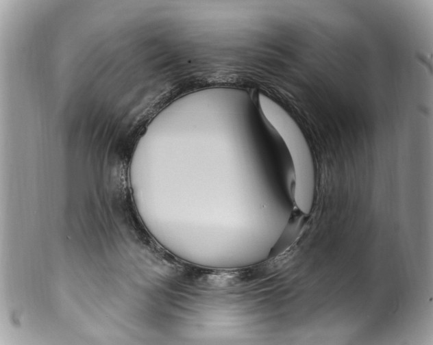 X0000099580172200806131326