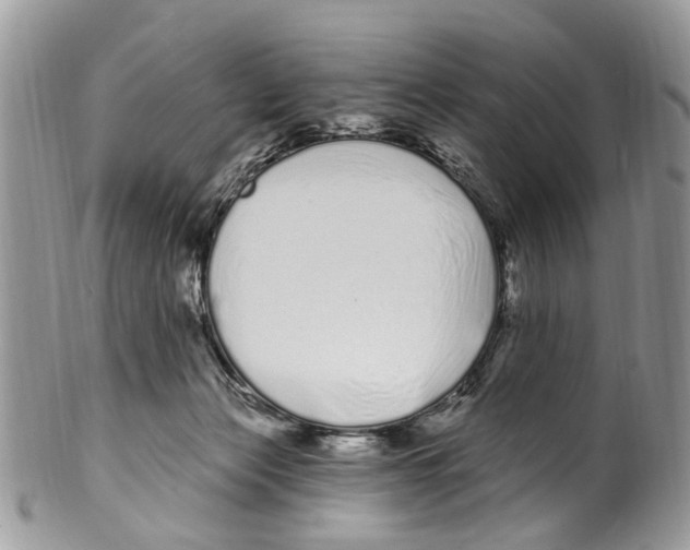 X0000099580173200806131326