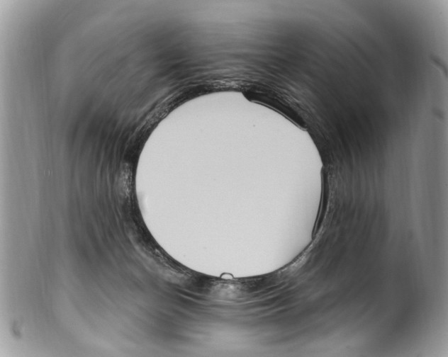 X0000099580174200806131326