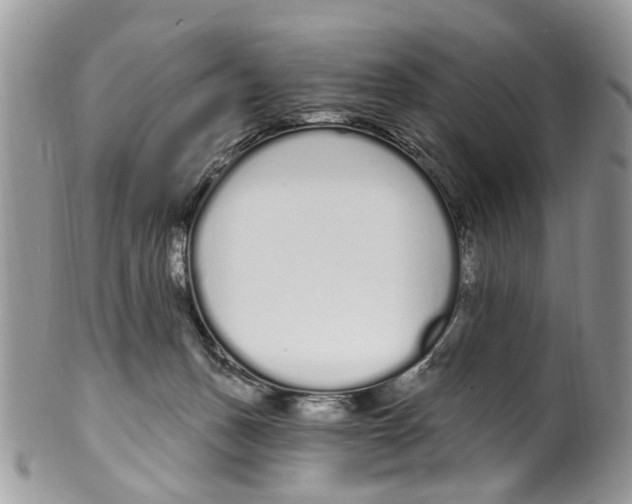 X0000099580175200806131326