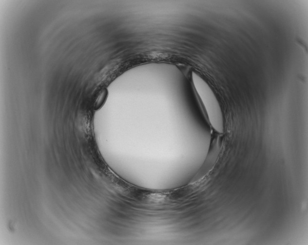 X0000099580176200806131326